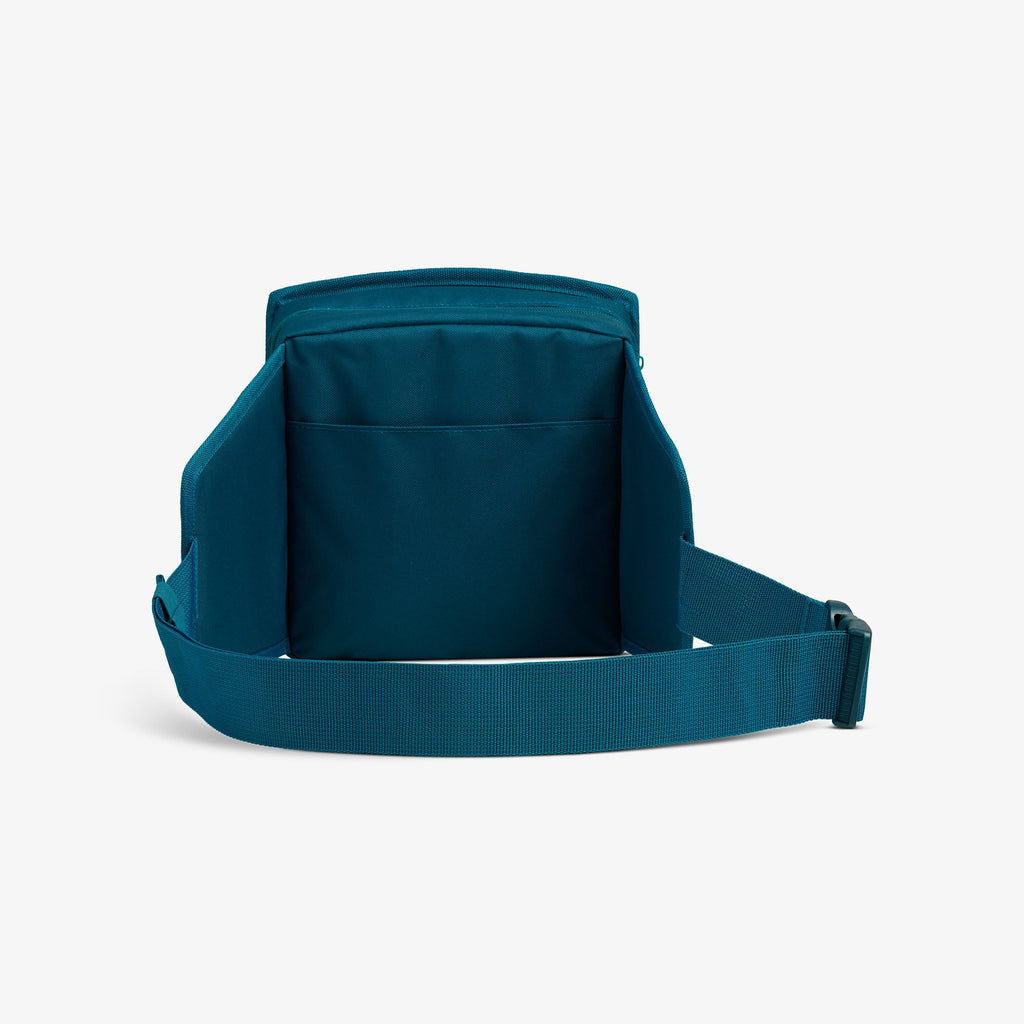 NFL WWE Cooler Fanny Pack